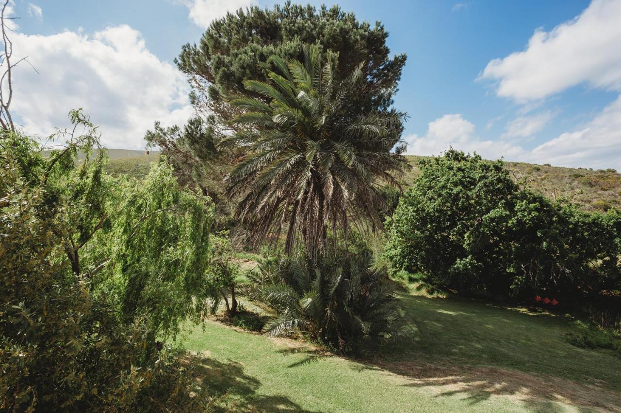 Goedvertrou Guest Farm Papiesvlei Екстер'єр фото