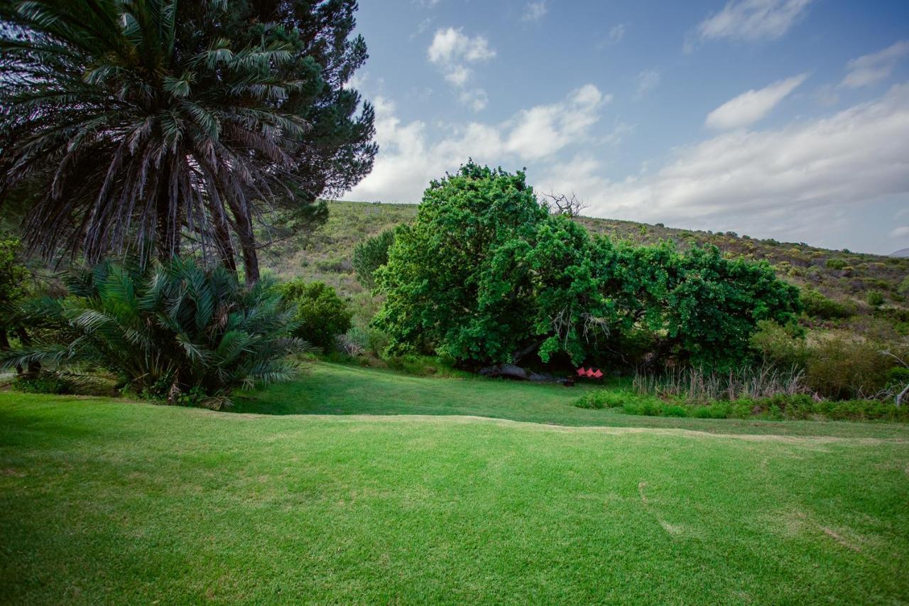Goedvertrou Guest Farm Papiesvlei Екстер'єр фото