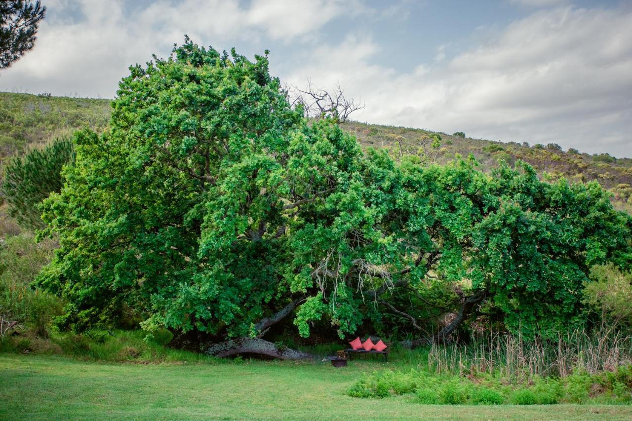 Goedvertrou Guest Farm Papiesvlei Екстер'єр фото